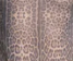 TIANNA One Piece - Leopard Sheer